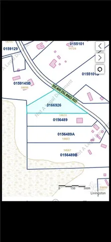 $89,900 | 0 Bear Island Road, Maurepas, LA 70449