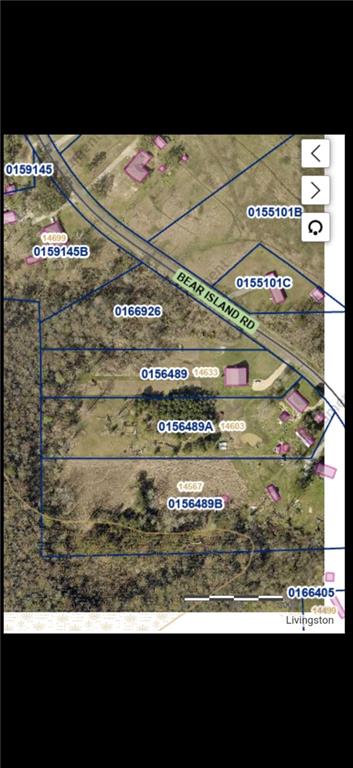 0 Bear Island Road Maurepas, LA 70449 - Photo 9 of 10