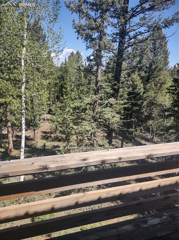 423 Ridge Road Divide, CO 80814 - Photo 39 of 48 a view of a yard