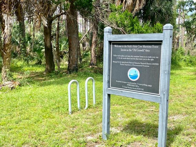 1735 Kingfisher Road St. George Island, FL 32328 - Photo 13 of 23
