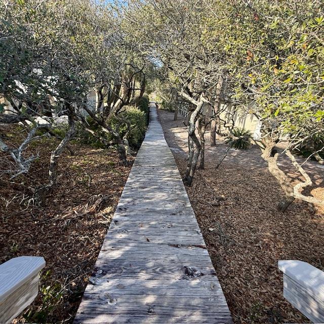 1735 Kingfisher Road St. George Island, FL 32328 - Photo 20 of 23