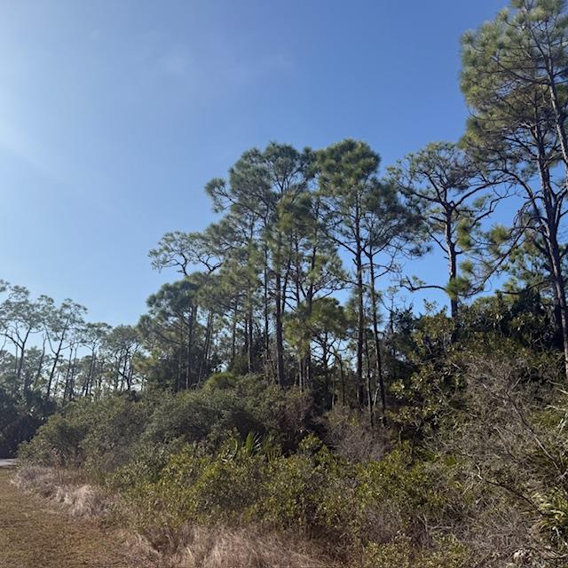 1735 Kingfisher Road St. George Island, FL 32328 - Photo 3 of 23