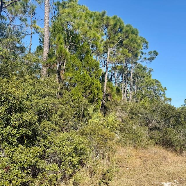1735 Kingfisher Road St. George Island, FL 32328 - Photo 4 of 23