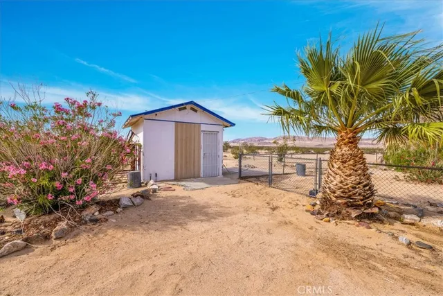 a view of a yard with trees