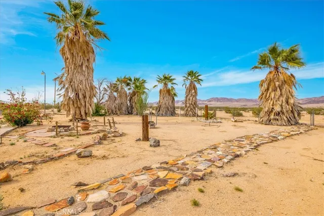 a view of a terrace with chairs