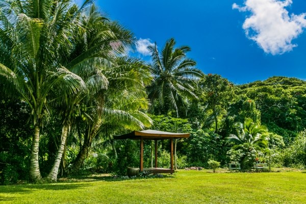 6 Moloaa Road Kilauea, HI 96754 - Photo 1 of 3 Gallery Image 1