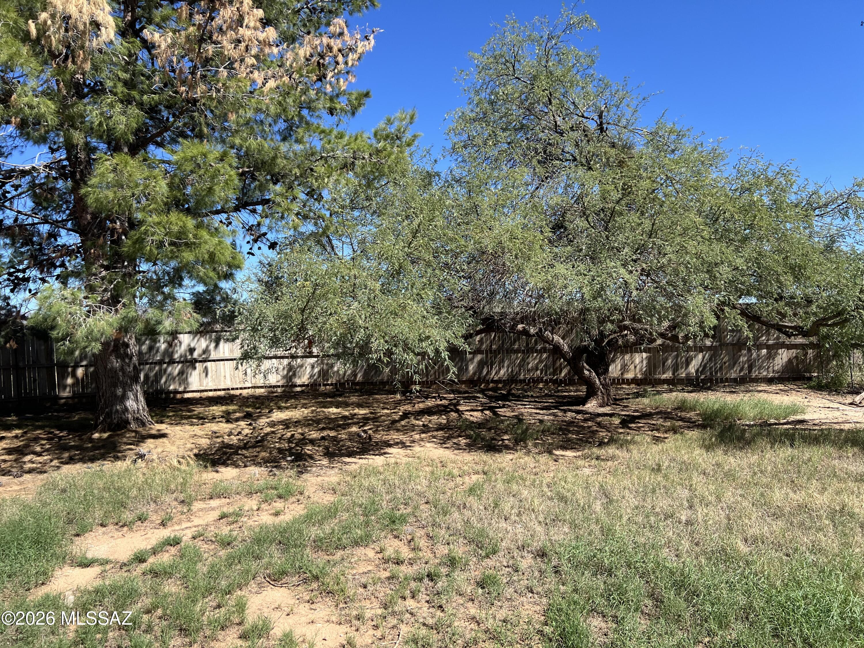 48977 East Panther Butte Road Tucson, AZ 85739 - Photo 40 of 40 Mature tress in front yard