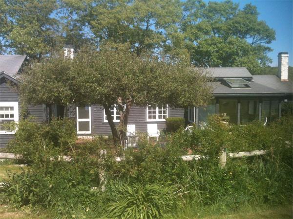 142 Roxy Cahoon Road Plymouth, MA 02360 - Photo 11 of 13 a backyard of a house with lots of green space