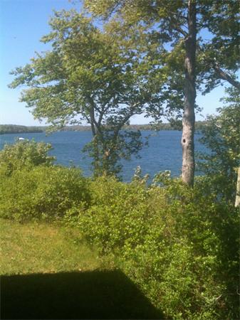 142 Roxy Cahoon Road Plymouth, MA 02360 - Photo 7 of 13 a view of a yard with plants and large trees