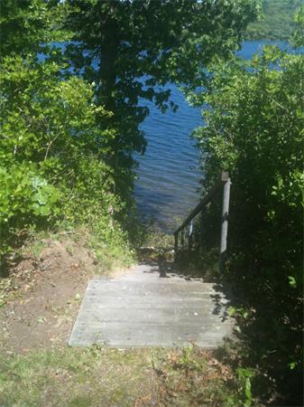 142 Roxy Cahoon Road Plymouth, MA 02360 - Photo 9 of 13 a backyard of a house with lots of green space