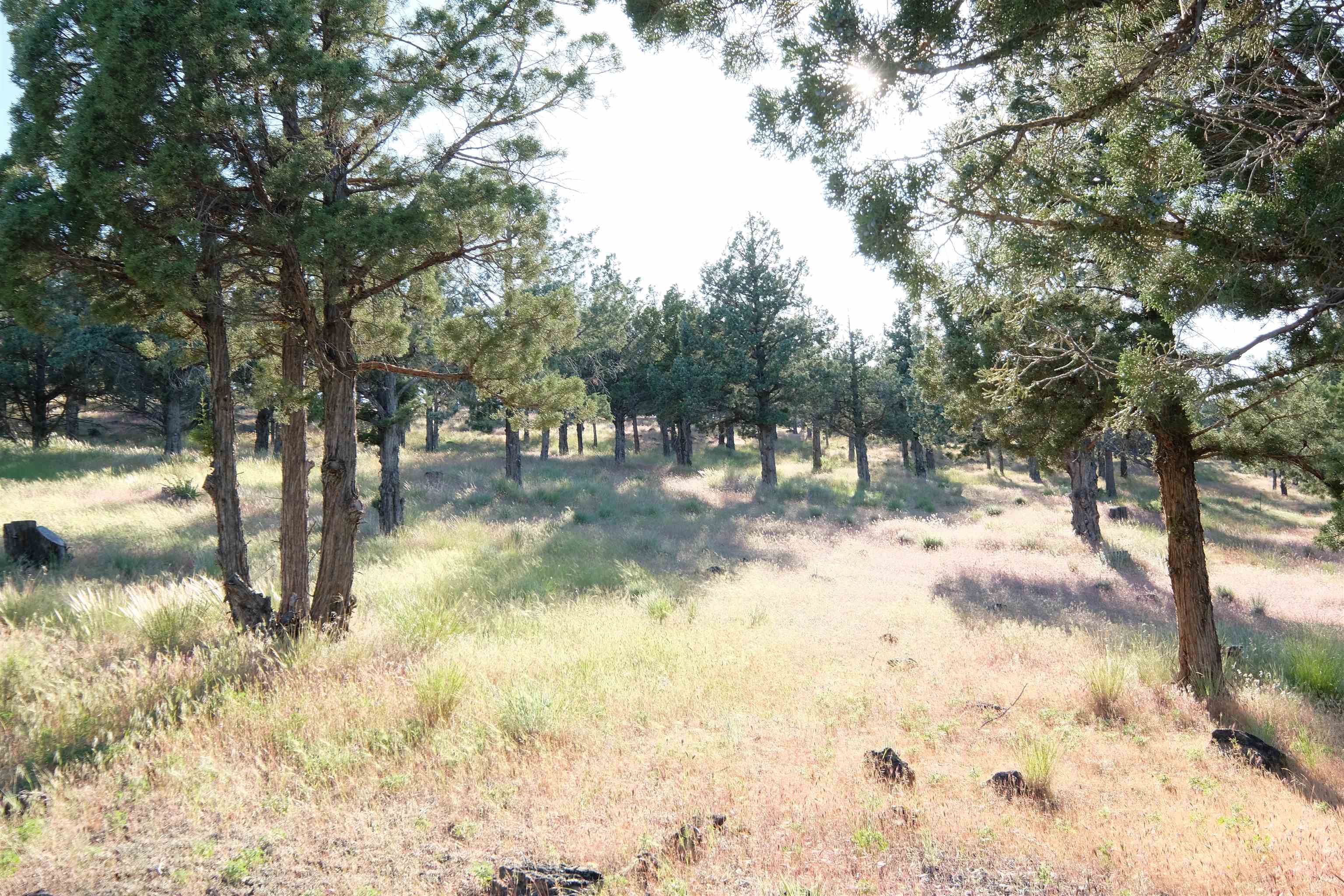 9-1 Unit Road Weed, CA 96094 - Photo 4 of 30 Gallery Image 4