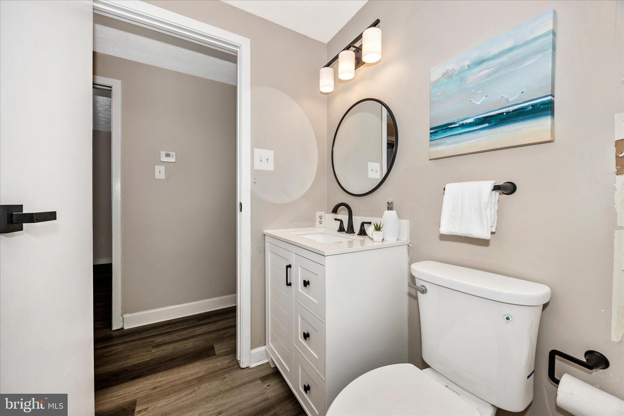 308 Heather Ridge Drive Frederick, MD 21702 - Photo 28 of 35 Hall Bathroom