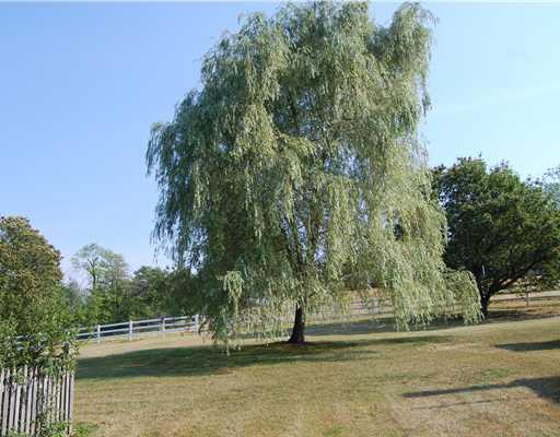 3526 Bakerstown Road Bakerstown, PA 15007 - Photo 16 of 18 Land/Lot.