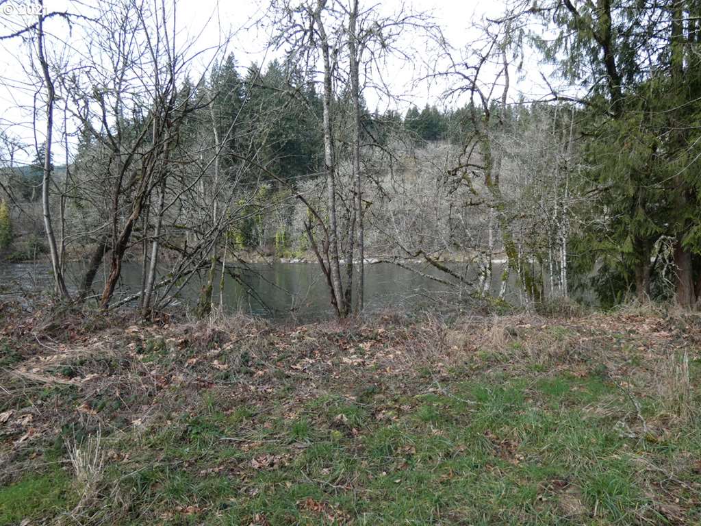6 Omlid Drive Springfield, OR 97478 - Photo 8 of 17 Gallery Image 8