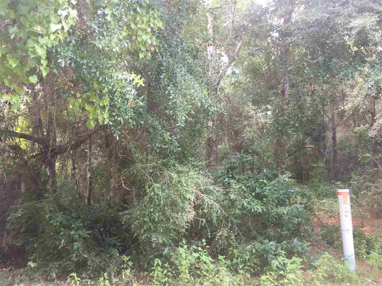 Donovan Drive Seminole, AL 36574 - Photo 2 of 4