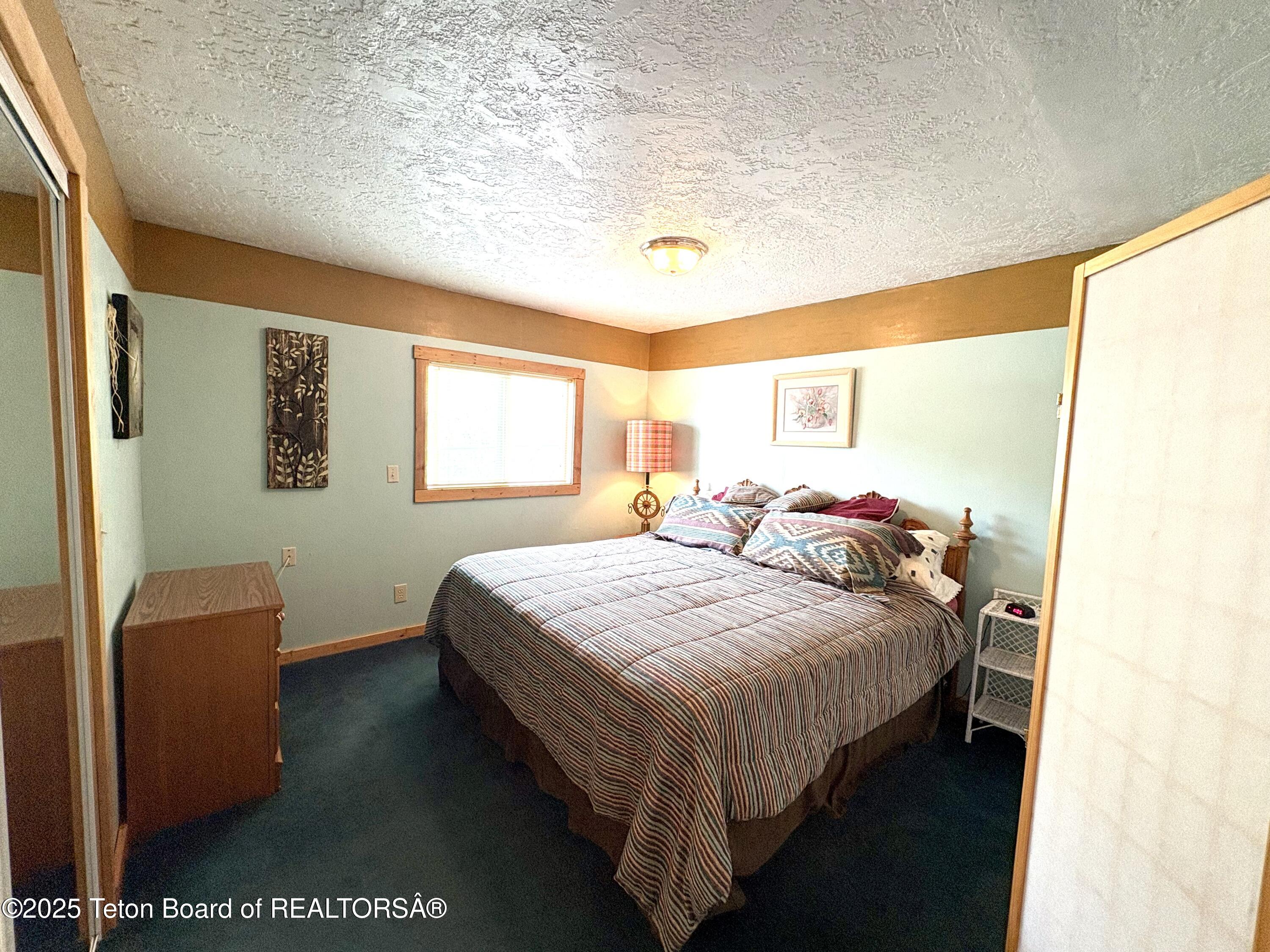 189 Choke Cherry Lane Irwin, ID 83428 - Photo 41 of 64 Primary Bedroom