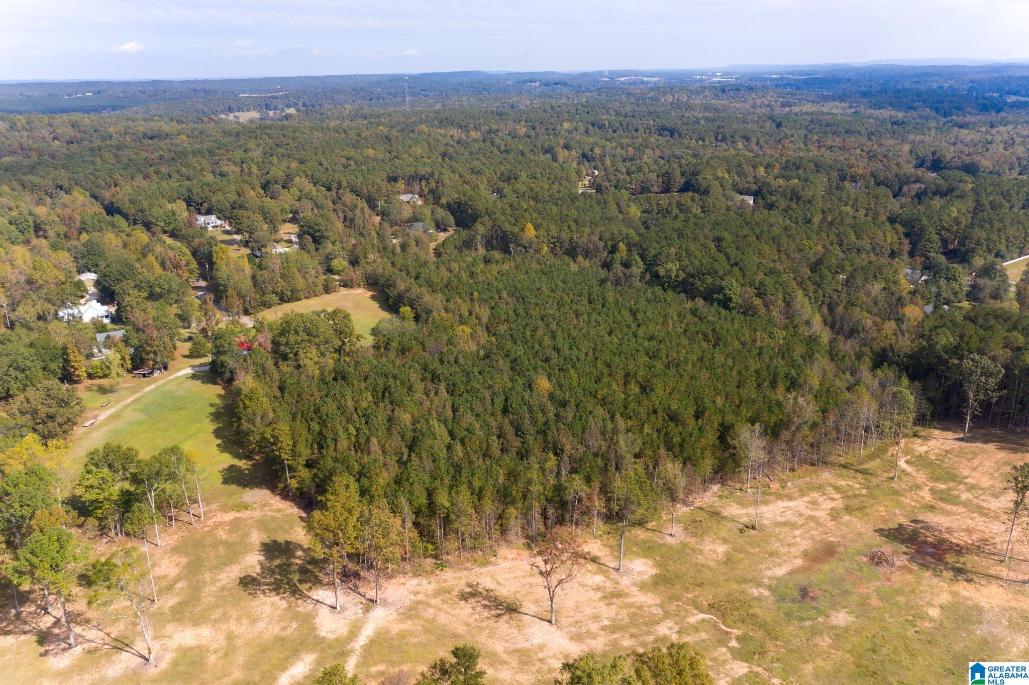 0 Olde S Spur McCalla, AL 35111 - Photo 15 of 25