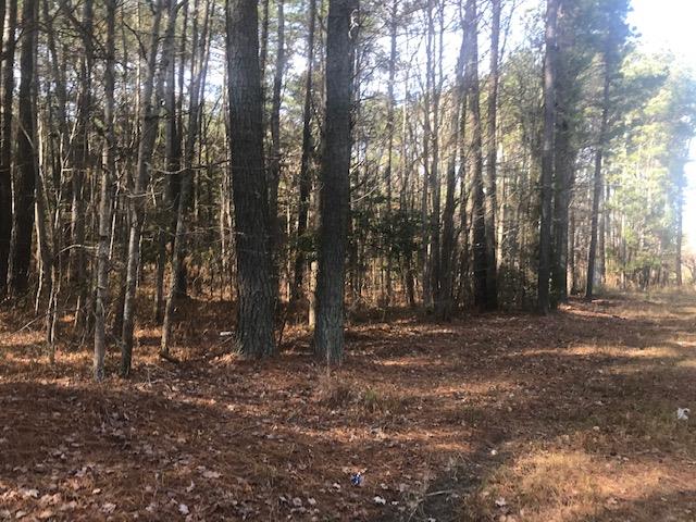 16 Daugherty Road, Unit 2LOTS Accomac, VA 23301 - Photo 1 of 2