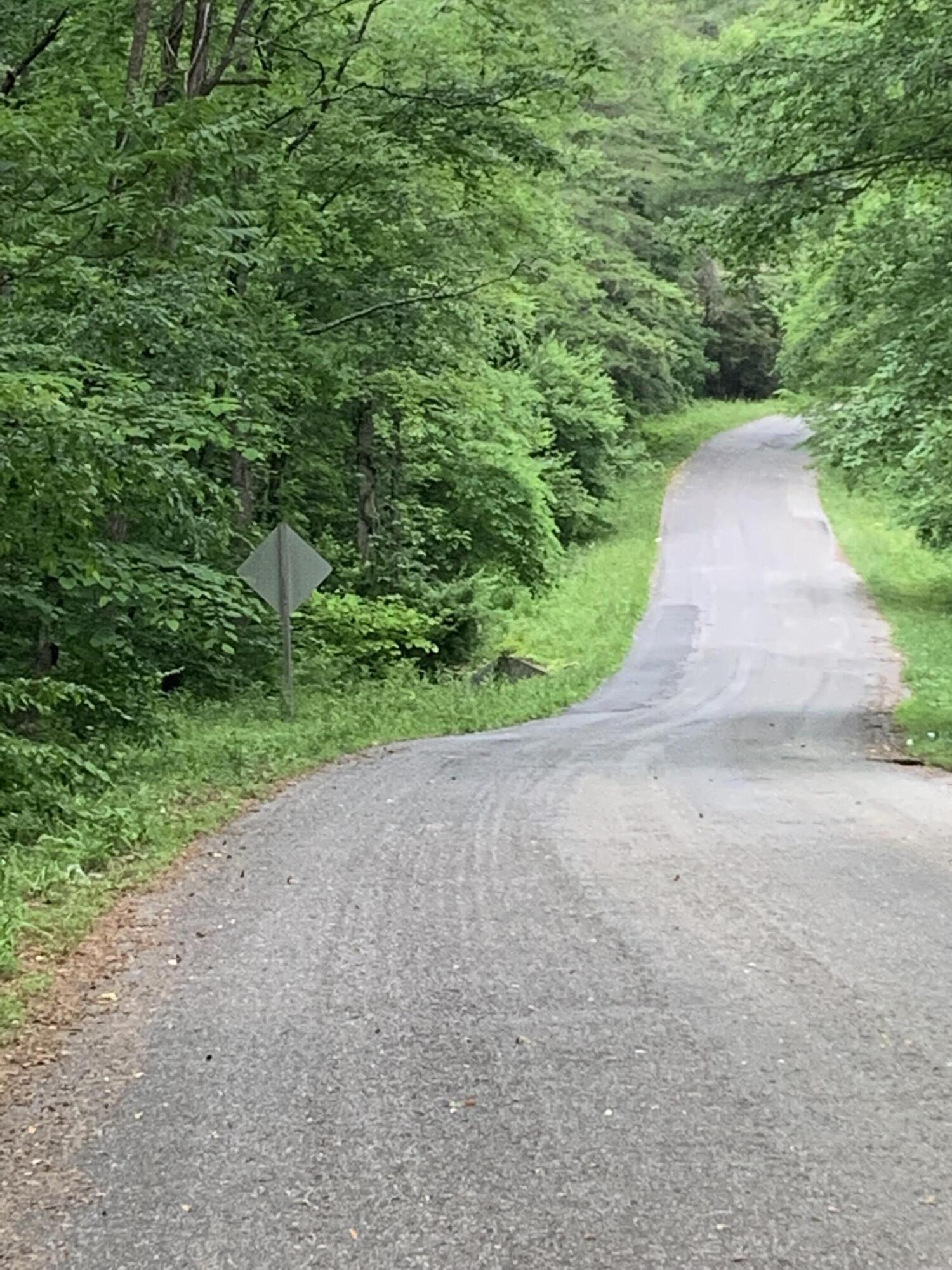 336 Highland Farm Road Callaway, VA 24067 - Photo 5 of 7 a view of a street view