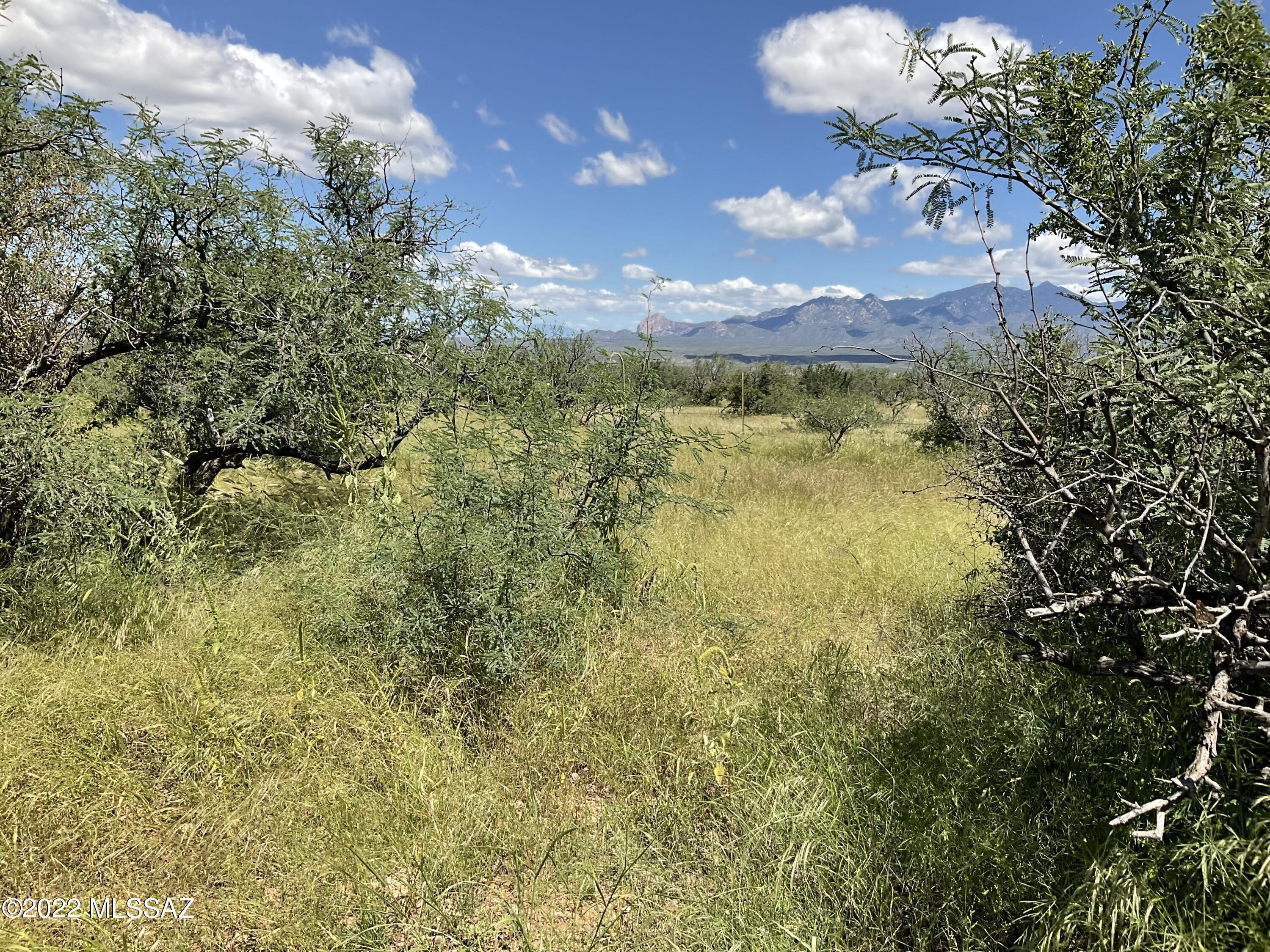 Tbd Aliso Springs Road Tubac, AZ 85646 - Photo 2 of 15