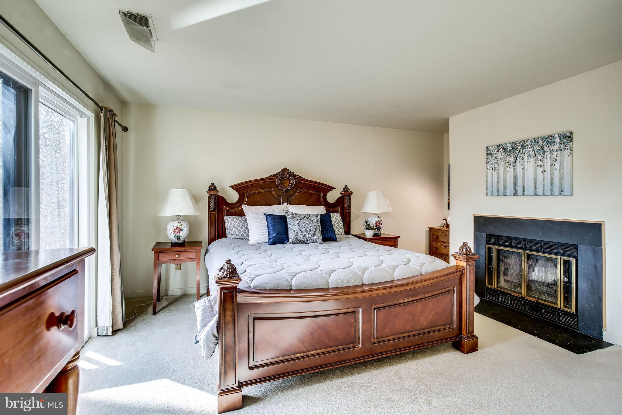 2221 Cedar Cove Court Reston, VA 20191 - Photo 26 of 49 Wonderful fireplace