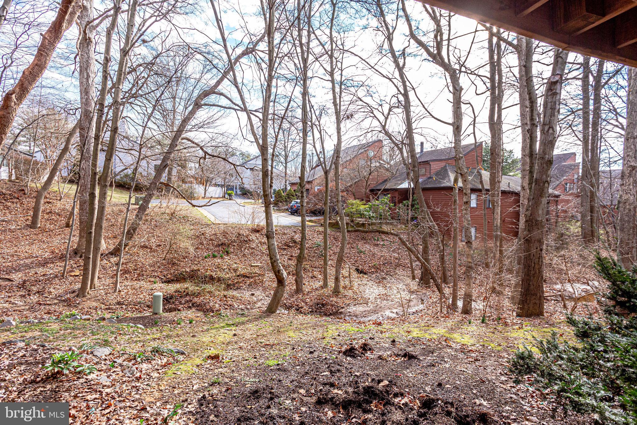 2221 Cedar Cove Court Reston, VA 20191 - Photo 45 of 49 Gallery Image 45