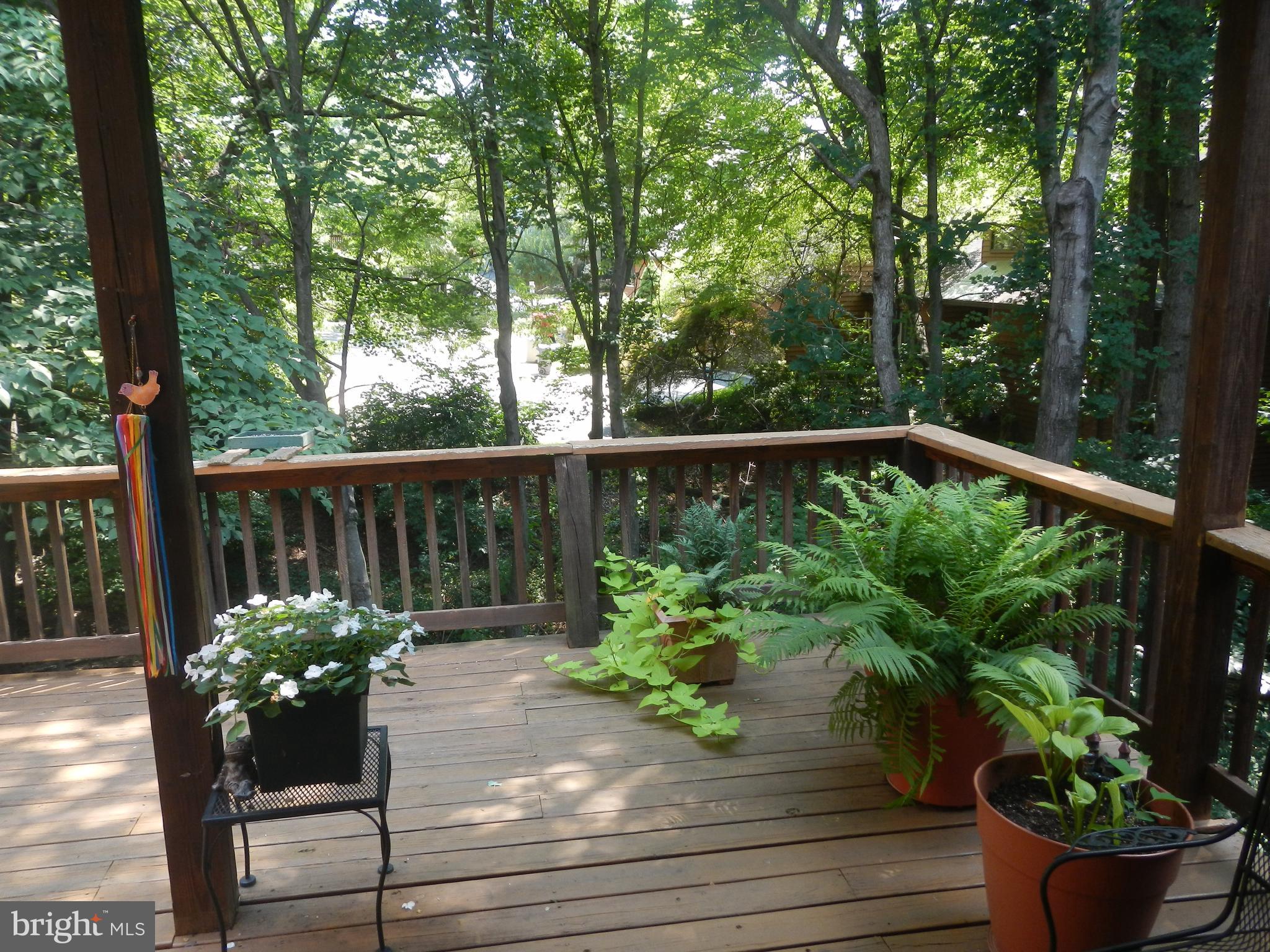 2221 Cedar Cove Court Reston, VA 20191 - Photo 48 of 49 Seasonal photo of deck