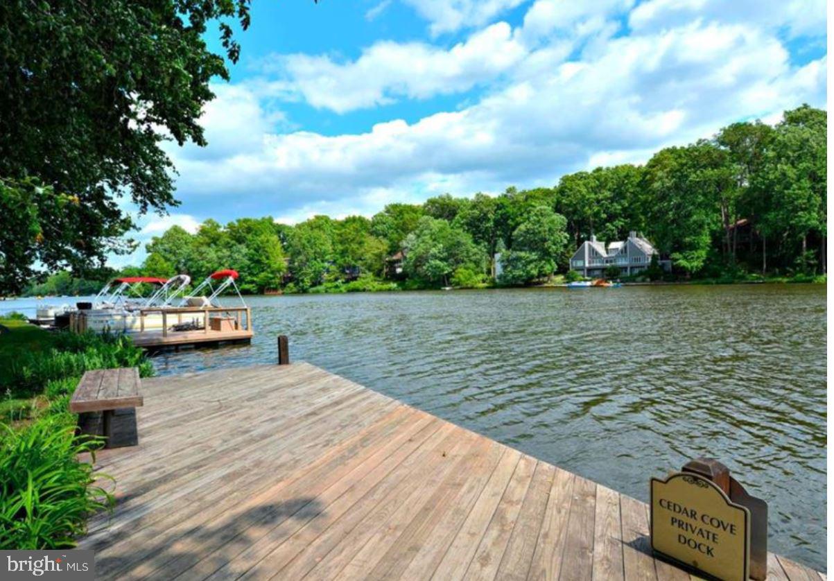 2221 Cedar Cove Court Reston, VA 20191 - Photo 49 of 49 Seasonal photo of lake