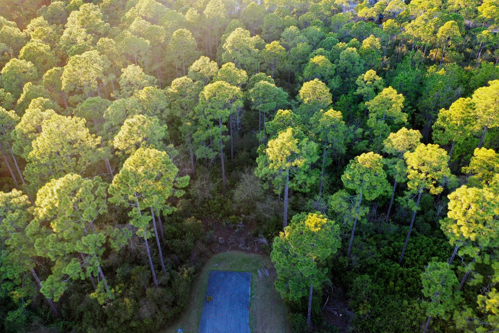 158 Turkey Point Road Sopchoppy, FL 32358 - Photo 11 of 43