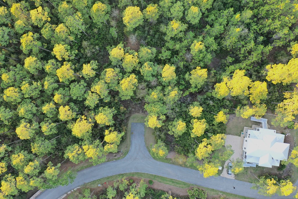 158 Turkey Point Road Sopchoppy, FL 32358 - Photo 16 of 43