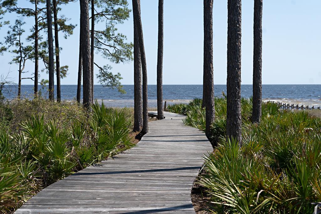 158 Turkey Point Road Sopchoppy, FL 32358 - Photo 17 of 43