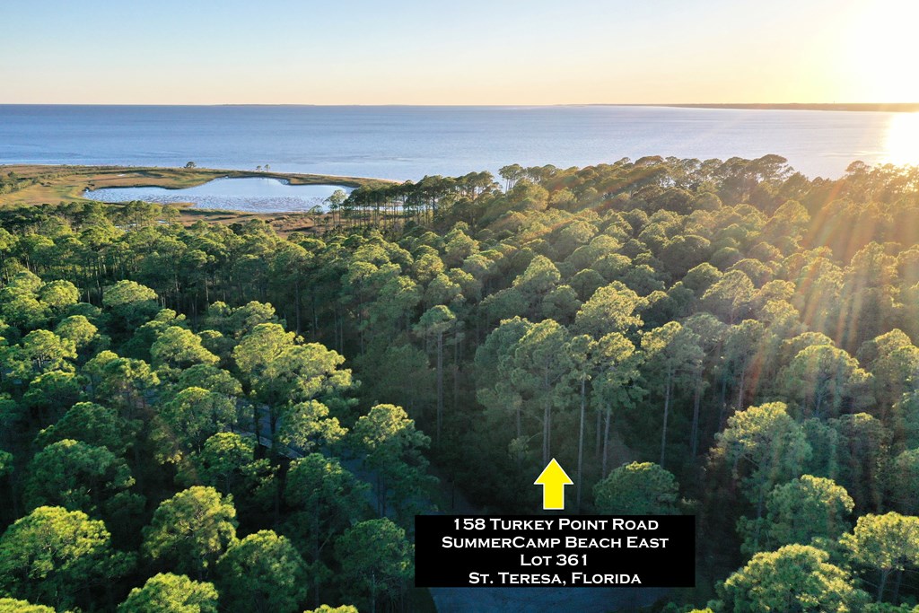 158 Turkey Point Road Sopchoppy, FL 32358 - Photo 21 of 43
