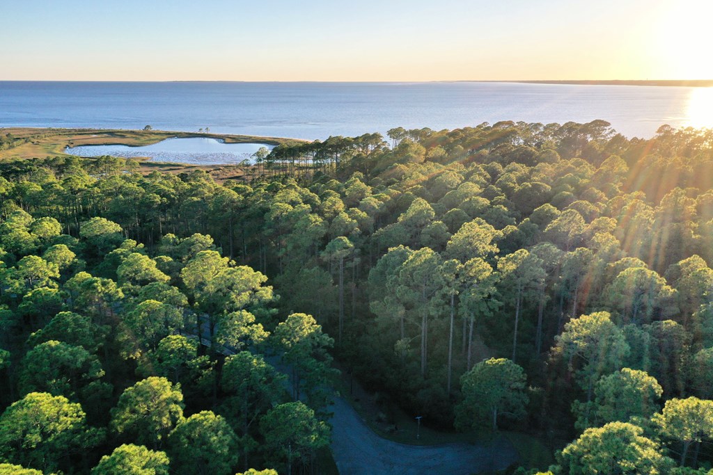 158 Turkey Point Road Sopchoppy, FL 32358 - Photo 22 of 43