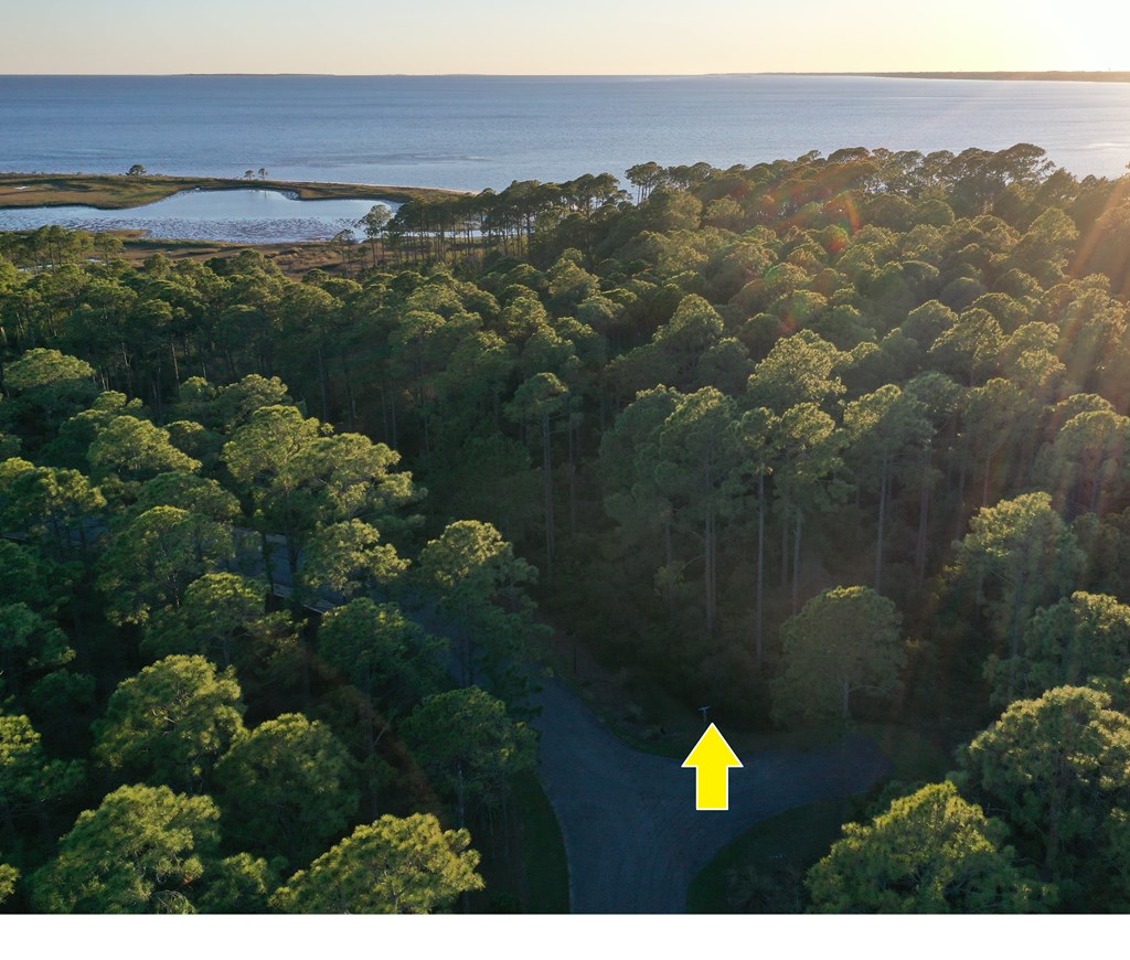 158 Turkey Point Road Sopchoppy, FL 32358 - Photo 23 of 43