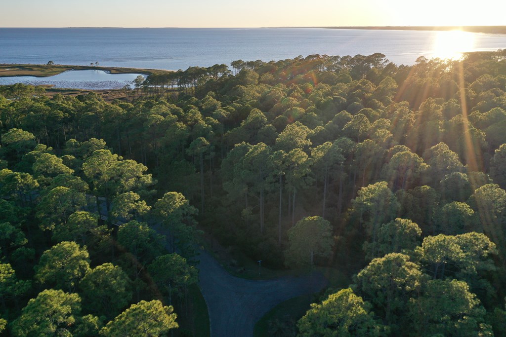 158 Turkey Point Road Sopchoppy, FL 32358 - Photo 24 of 43