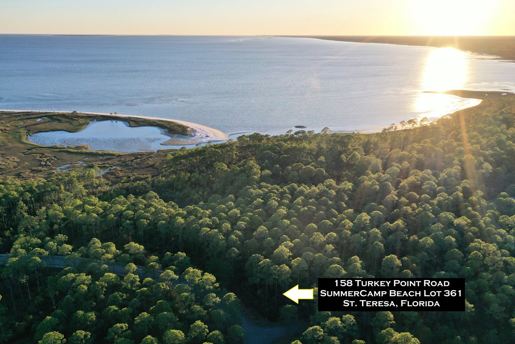 158 Turkey Point Road Sopchoppy, FL 32358 - Photo 26 of 43