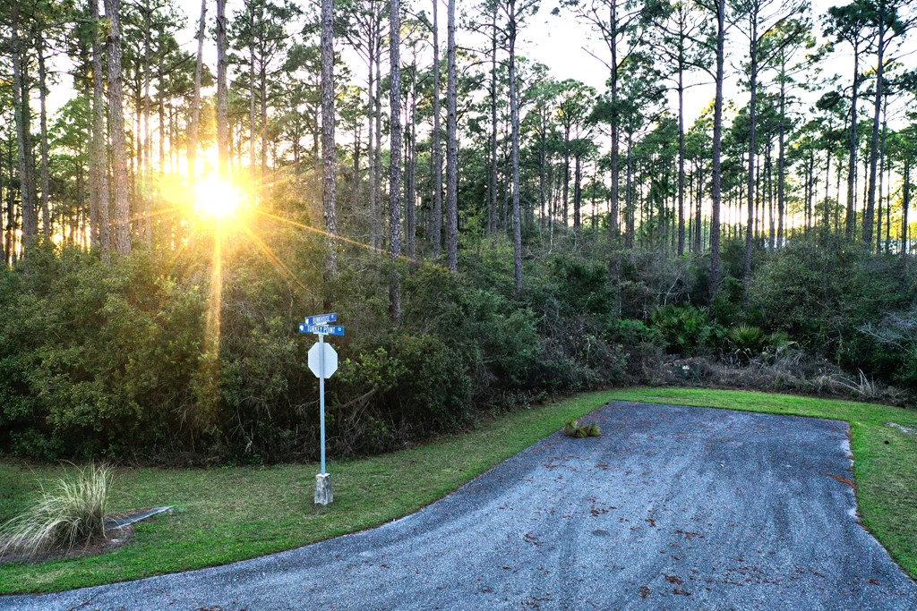 158 Turkey Point Road Sopchoppy, FL 32358 - Photo 40 of 43