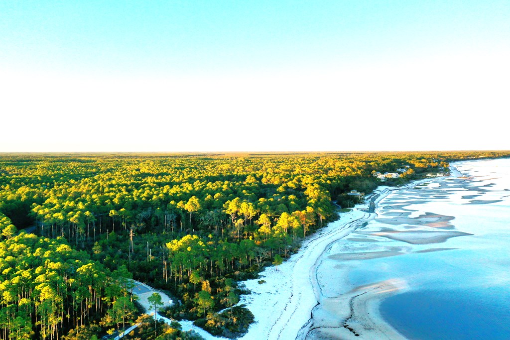 158 Turkey Point Road Sopchoppy, FL 32358 - Photo 41 of 43