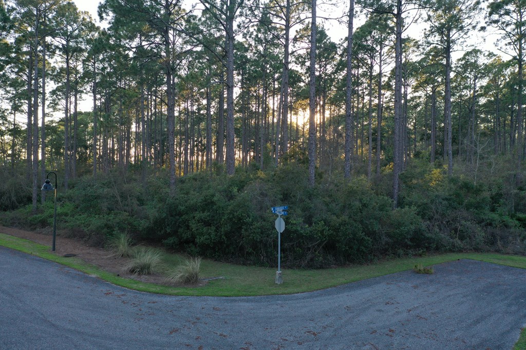 158 Turkey Point Road Sopchoppy, FL 32358 - Photo 5 of 43