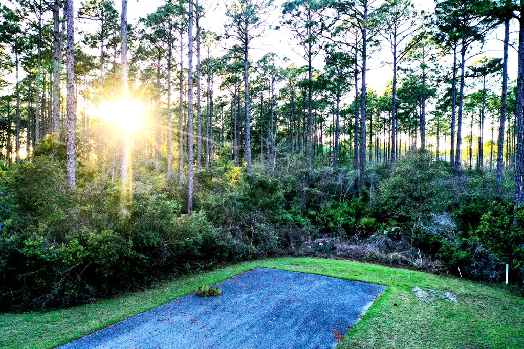 158 Turkey Point Road Sopchoppy, FL 32358 - Photo 8 of 43