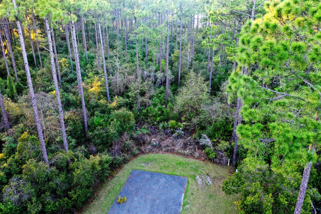 158 Turkey Point Road Sopchoppy, FL 32358 - Photo 9 of 43