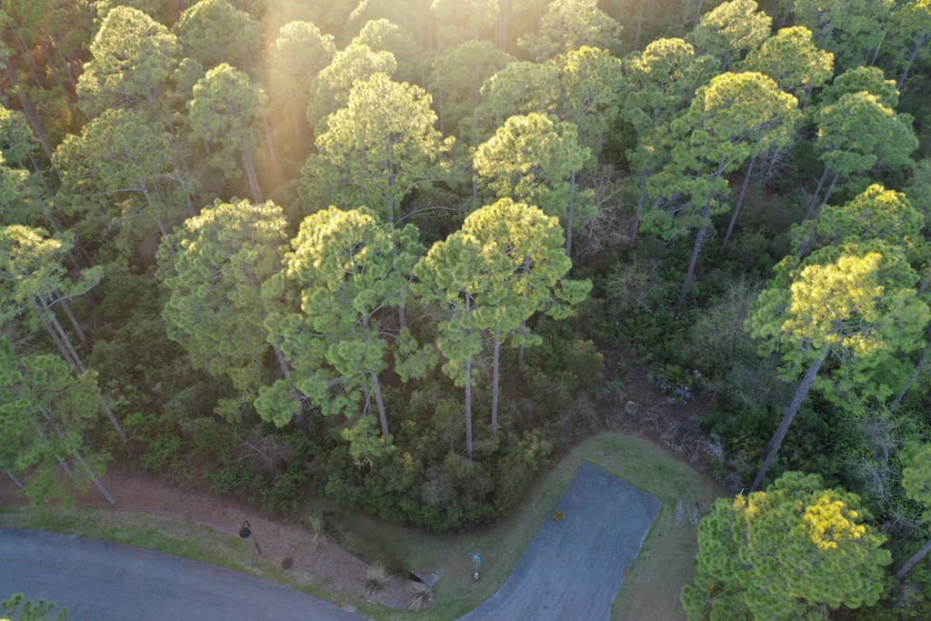 158 Turkey Point Road Sopchoppy, FL 32358 - Photo 10 of 43