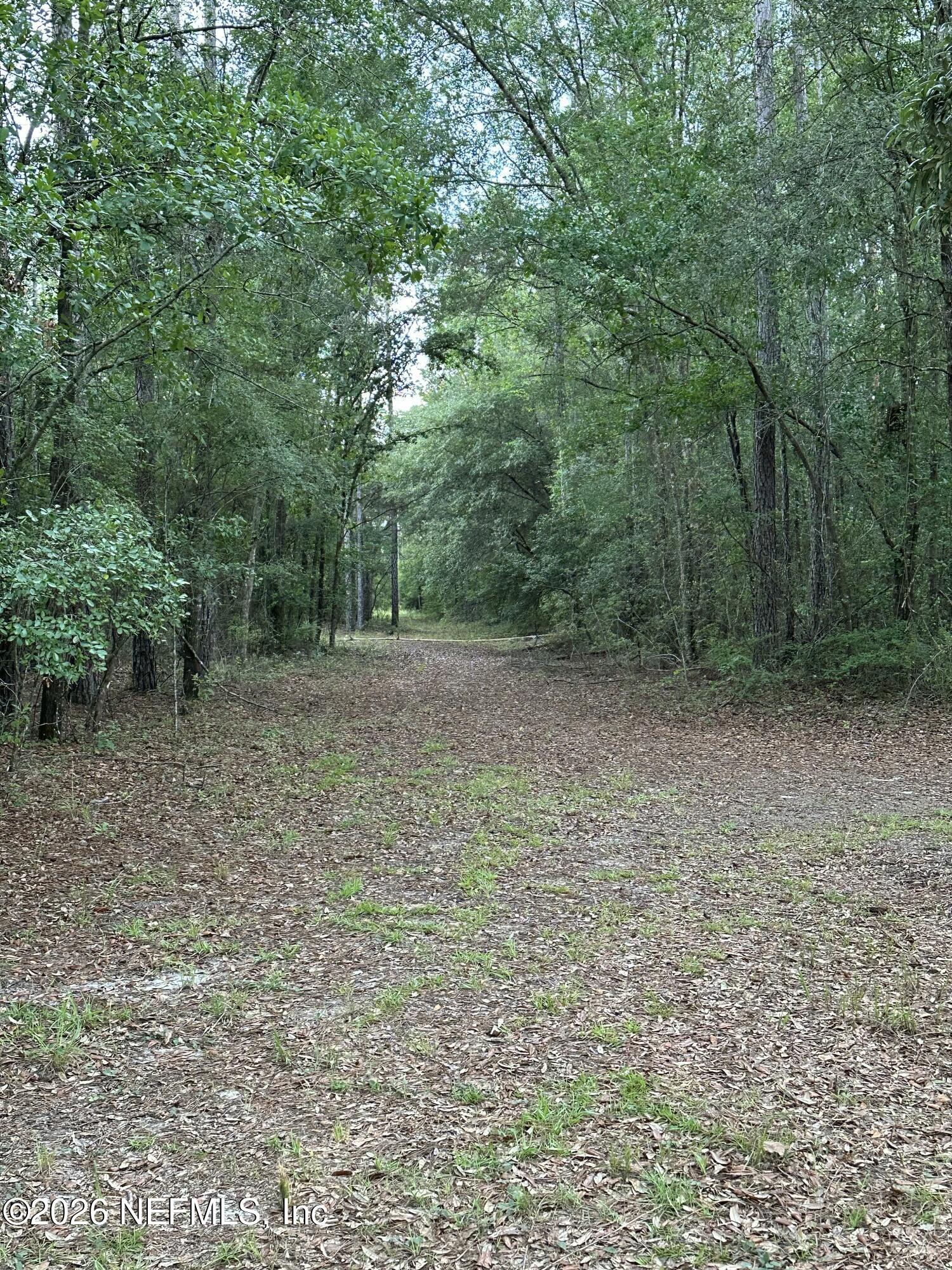 15422 Bullock Bluff Road Bryceville, FL 32009 - Photo 14 of 23 a view of outdoor space with trees