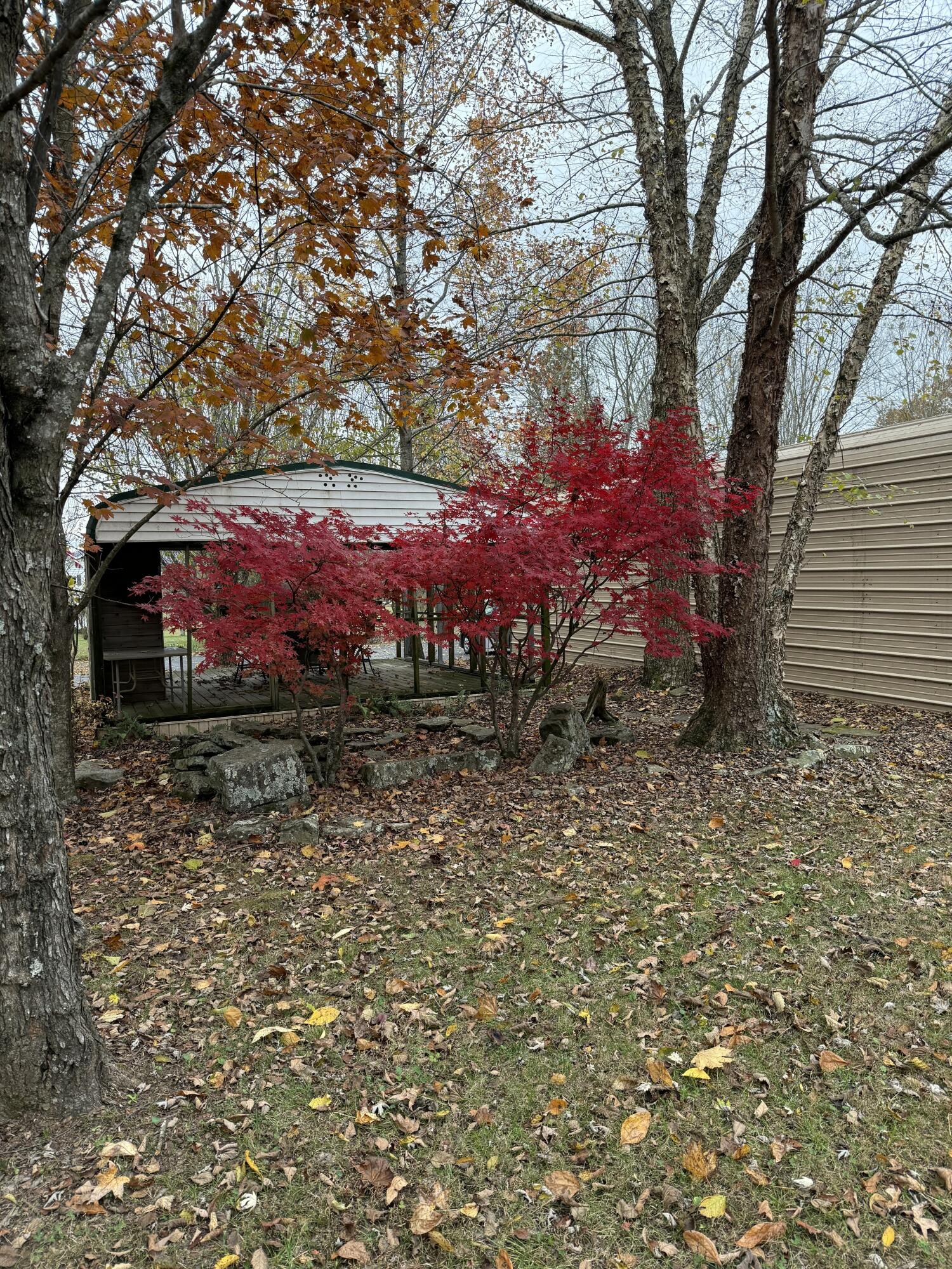 267 Williams Road Dunlap, TN 37327 - Photo 53 of 55 56