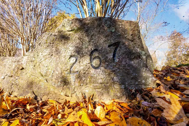 $327,500 | 267 Williams Road, Dunlap, TN 37327