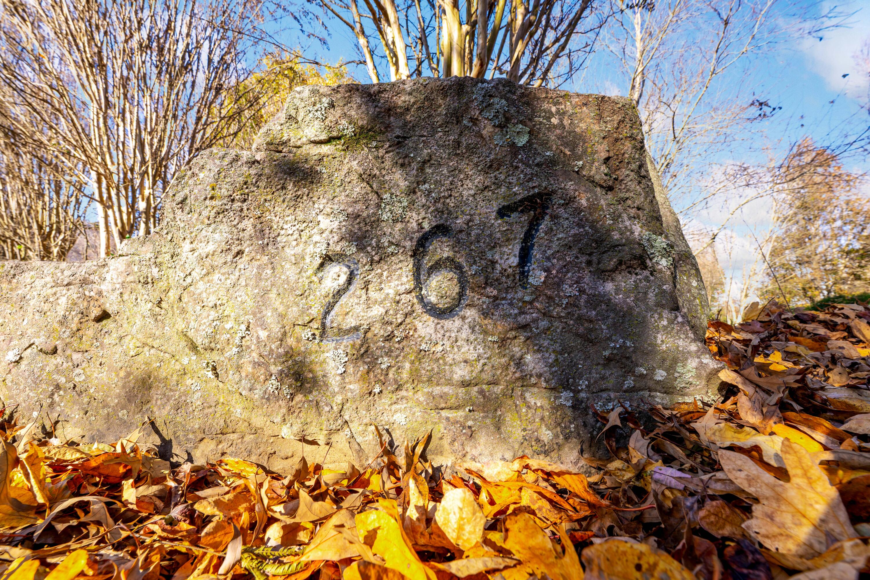 267 Williams Road Dunlap, TN 37327 - Photo 54 of 55 51