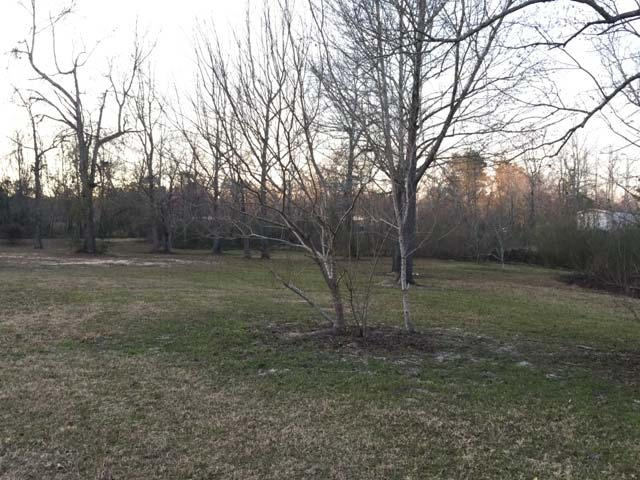 1948 Parker Road Cantonment, FL 32533 - Photo 8 of 28 a view of a outdoor space