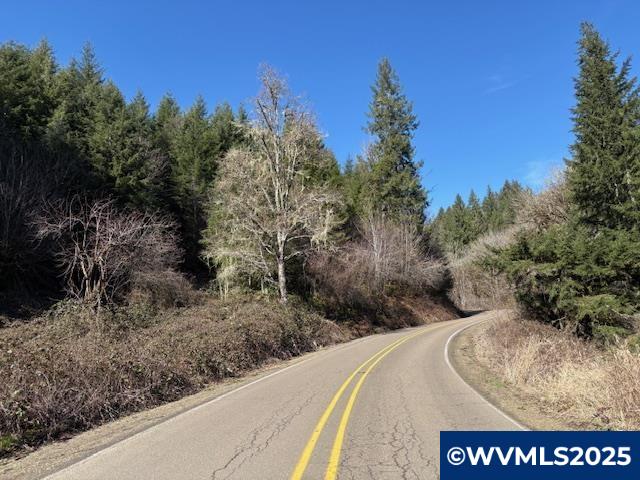0 Logsden Road Blodgett, OR 97326 - Photo 20 of 24