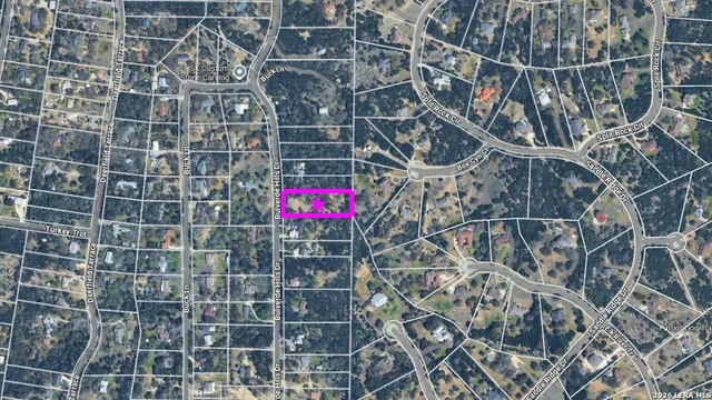 a view of yard with trees