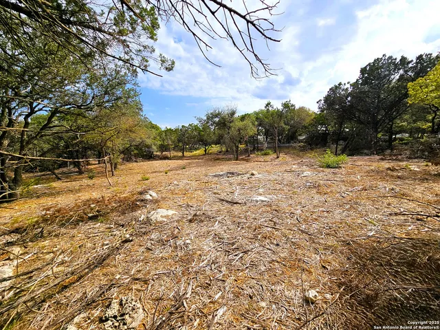 a view of a yard with an trees